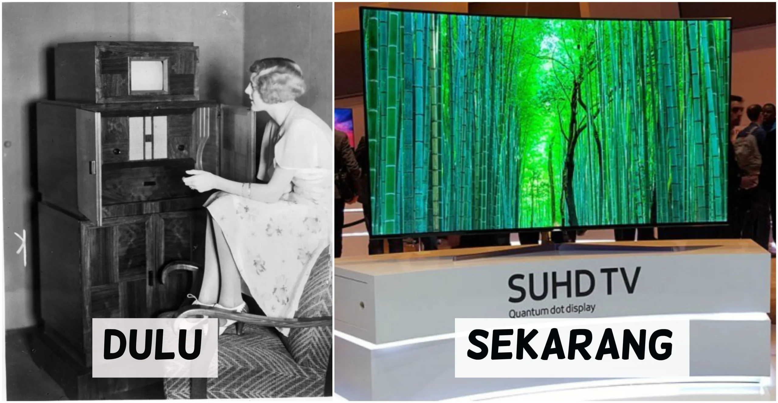 Dunia Televisi Mengalami Perubahan Besar: Dari Drama 'Ponies' Hingga Akuisisi Fox terhadap Roku