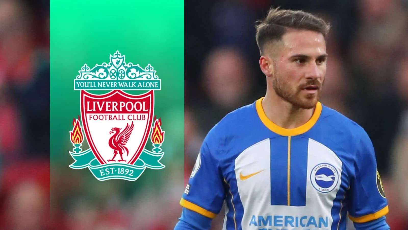 Fabrizio Romano: Liverpool Siap Jual Alexis Mac Allister dan Update Transfer Lainnya