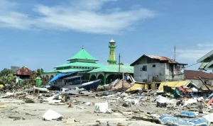 Gempa Palu: Dampak dan Upaya Penanggulangan