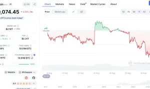 Harga Bitcoin Anjlok, Apa yang Terjadi di Dunia Kripto?
