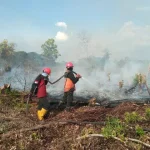 Kebakaran Lahan dan Hutan Melanda Indonesia, Waspada Bahaya El Nino