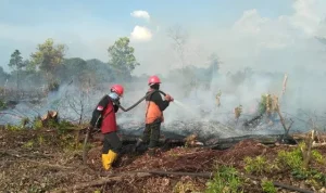 Kebakaran Lahan dan Hutan Melanda Indonesia, Waspada Bahaya El Nino