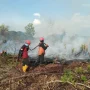Kebakaran Lahan dan Hutan Melanda Indonesia, Waspada Bahaya El Nino