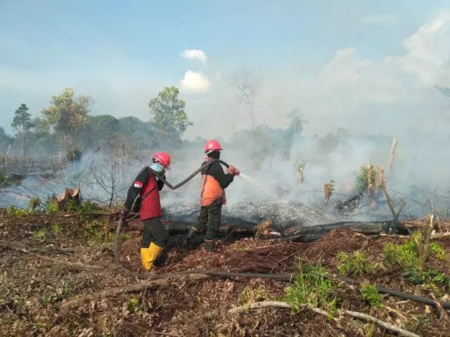 Kebakaran Lahan dan Hutan Melanda Indonesia, Waspada Bahaya El Nino