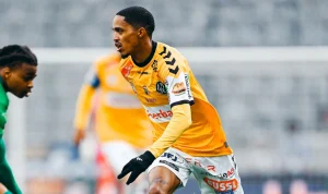 Mamelodi Sundowns Incar Antonio van Wyk, Pemain SV Ried