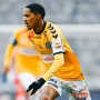 Mamelodi Sundowns Incar Antonio van Wyk, Pemain SV Ried