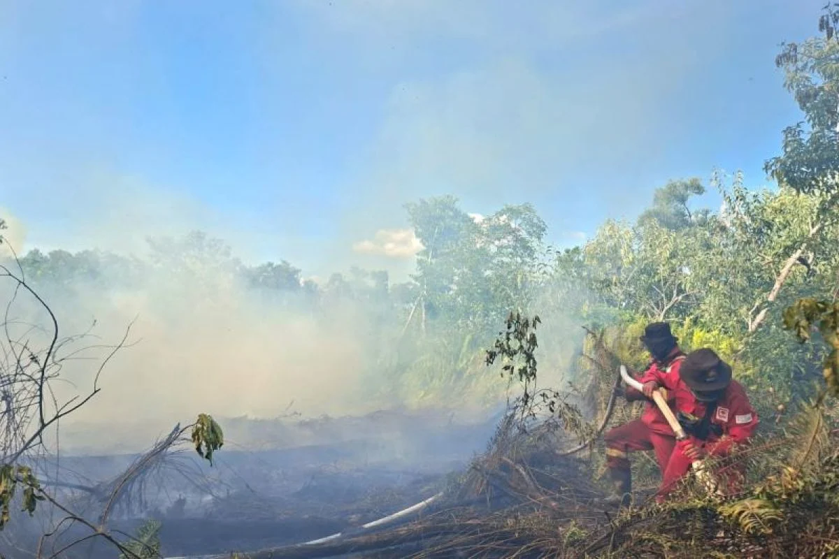 Manggala Agni Berjibaku Memadamkan Kebakaran Hutan di Riau, Suhu Udara Turun pada Subuh