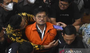 Mantan Pejabat Pemerintah AS Siap Mengungkap Kebenaran tentang Kehidupan Intelijen Non-Manusia