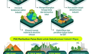 Menghadapi Tantangan Impor dan Ketahanan Energi, Indonesia Butuh Strategi Cerdas