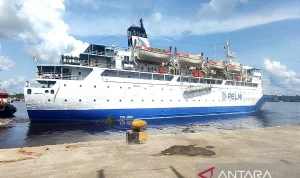 Pelni Siapkan 3 Kapal Baru Senilai Rp4,5 Triliun untuk Gantikan Armada Tua