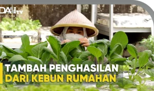 Penghasilan Tambahan di Masa Pandemi: Dari Kebun dan Peternakan Mini hingga Ekspor Batu Bara
