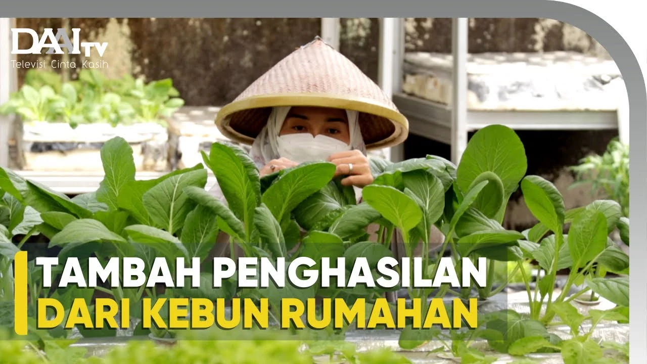 Penghasilan Tambahan di Masa Pandemi: Dari Kebun dan Peternakan Mini hingga Ekspor Batu Bara