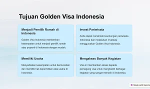 Perkembangan Visa: Dari Investasi Hingga Jaminan Kesehatan dan Hak Keluarga