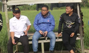 Pertarungan Politik Semakin Sengit: Jon Martín dan Pertarungan untuk Mengontrol Batas Pedesaan Seminole