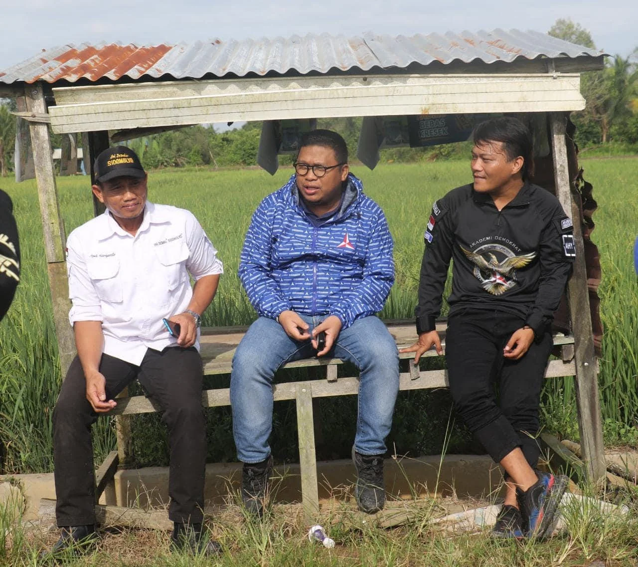Pertarungan Politik Semakin Sengit: Jon Martín dan Pertarungan untuk Mengontrol Batas Pedesaan Seminole
