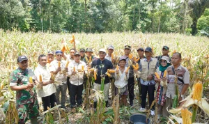 PTBA Dukung Pengembangan Sektor Pertanian dan Pemberdayaan Ekonomi Masyarakat