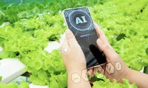 Revitalisasi Produktivitas Organisasi dengan Teknologi AI
