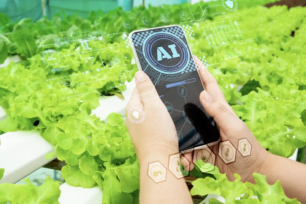 Revitalisasi Produktivitas Organisasi dengan Teknologi AI