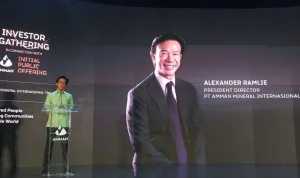 Alexander Ramlie: Transaksi Saham dan Investasi di PT Amman Mineral Internasional