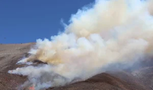 Aspen Acres Fire Melanda Amerika, Sementara Shakira dan Blue Bell Hadirkan Kabar Bahagia