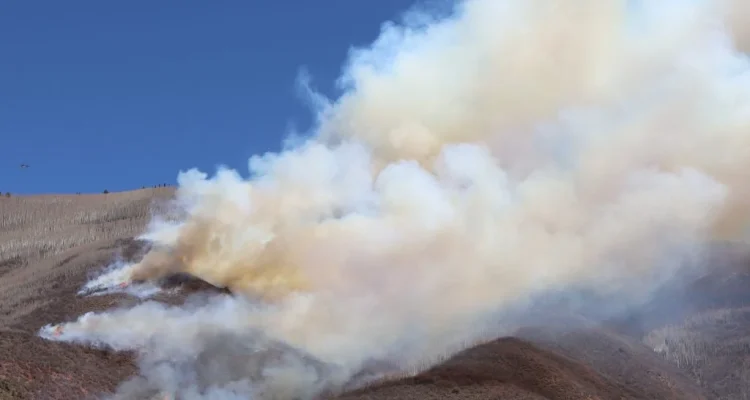Aspen Acres Fire Melanda Amerika, Sementara Shakira dan Blue Bell Hadirkan Kabar Bahagia
