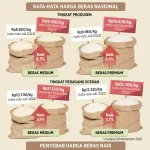 Bantuan Beras untuk 33,2 Juta Keluarga, Harga Beras Naik, dan Fakta Menarik Lainnya