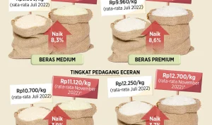 Bantuan Beras untuk 33,2 Juta Keluarga, Harga Beras Naik, dan Fakta Menarik Lainnya