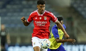 Benfica dan Al-Nassr: Pertarungan di Lapangan dan di Pasar Transfer