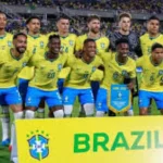 Brasil Menghadirkan Berbagai Kejutan: Dari Kolibri Endemik Hingga Pemain Sepak Bola Dunia