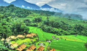 Bumi: Keindahan Alam dan Dampak Lingkungan