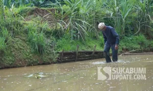 Claude AI Membantu Seorang Pria di Uttar Pradesh Menemukan 25 Plot Tanah Leluhur
