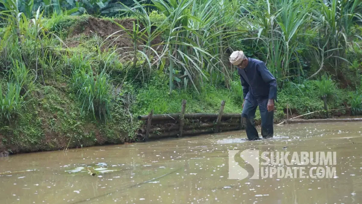 Claude AI Membantu Seorang Pria di Uttar Pradesh Menemukan 25 Plot Tanah Leluhur