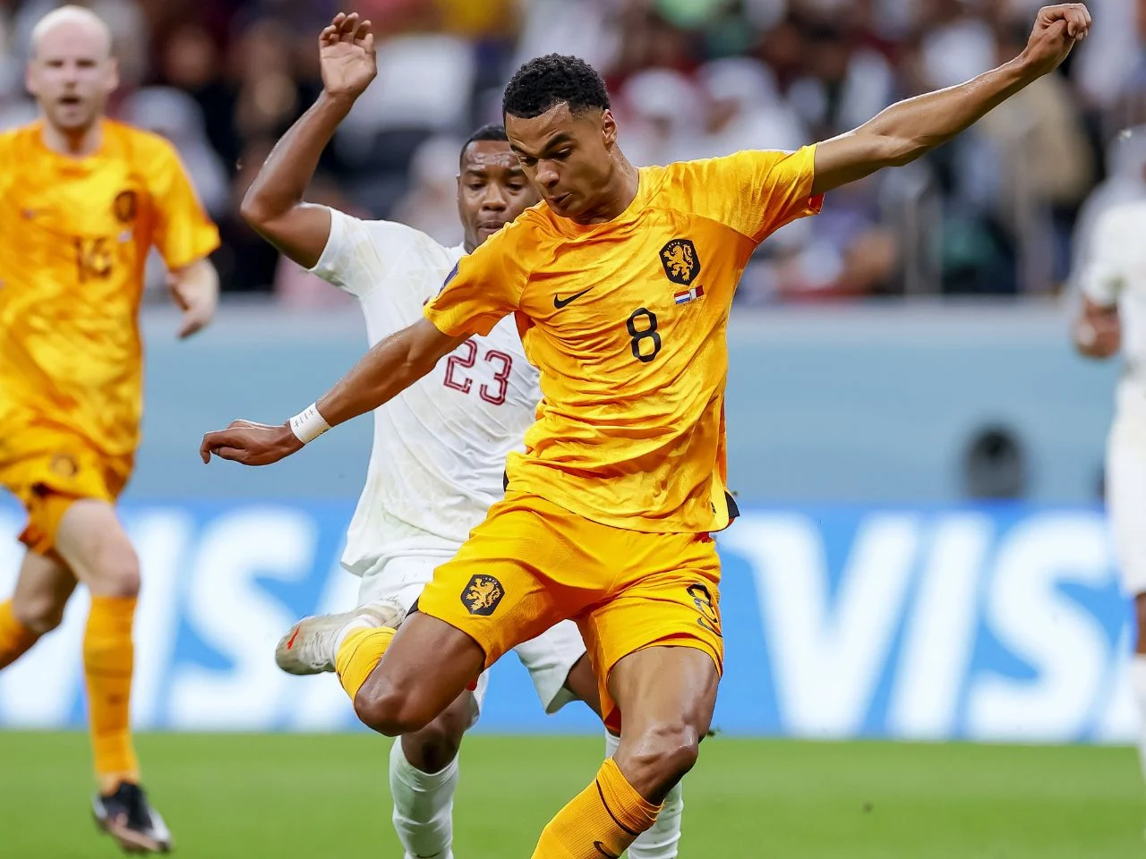 Cody Gakpo Tampil Brilliant di Piala Dunia Meski Mengalami Duka