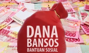 Dana Bantuan dan Kasus Embezzlement: Liputan Komprehensif