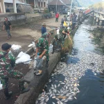 Fenomena Kematian Ikan Massal di Danau Batur: Badan Geologi Ungkap Penyebab