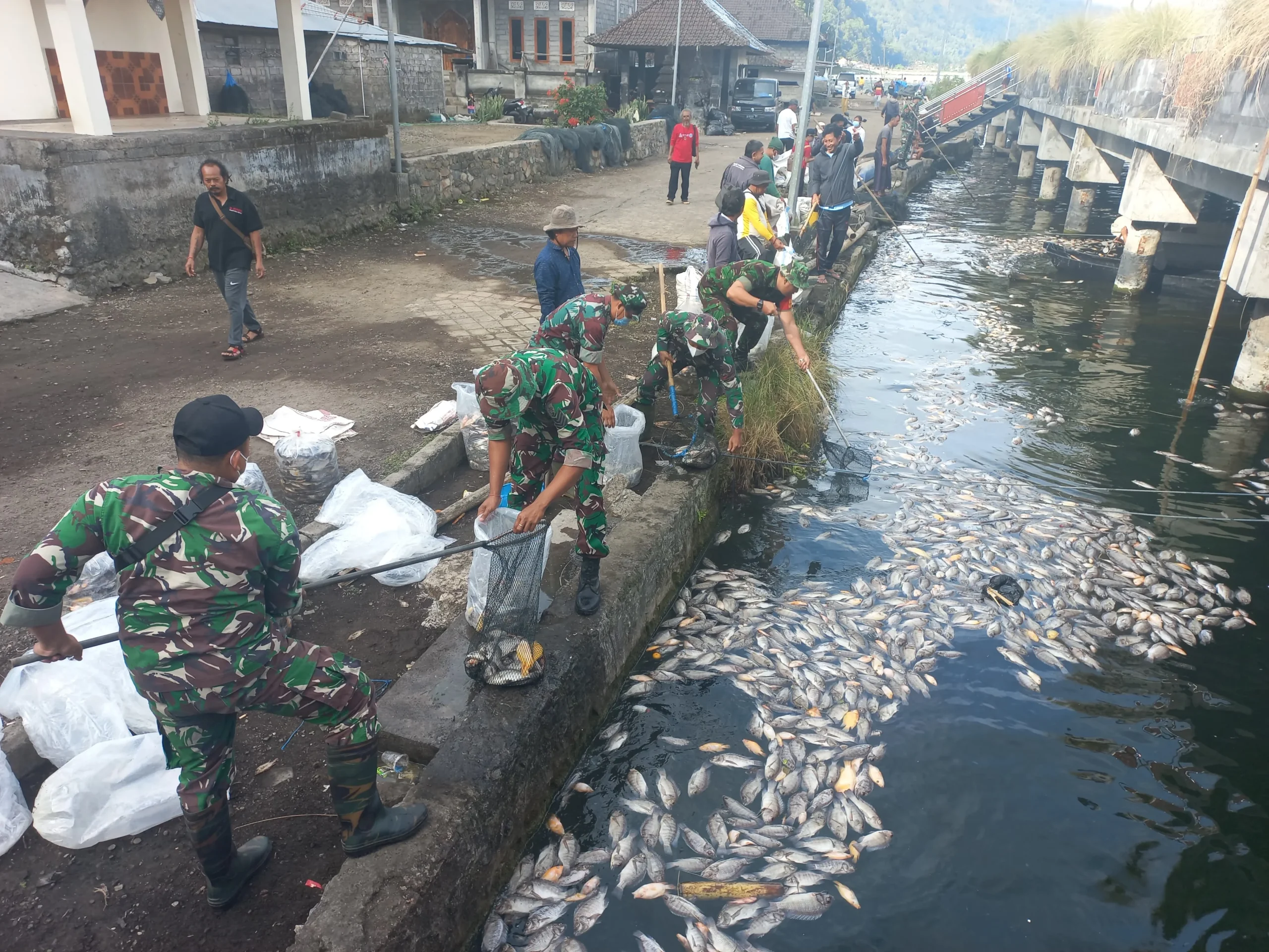 Fenomena Kematian Ikan Massal di Danau Batur: Badan Geologi Ungkap Penyebab