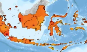 Gelombang Panas Melanda Dunia: Suhu di AS Capai 43 Derajat, Indonesia Juga Terkena Dampak