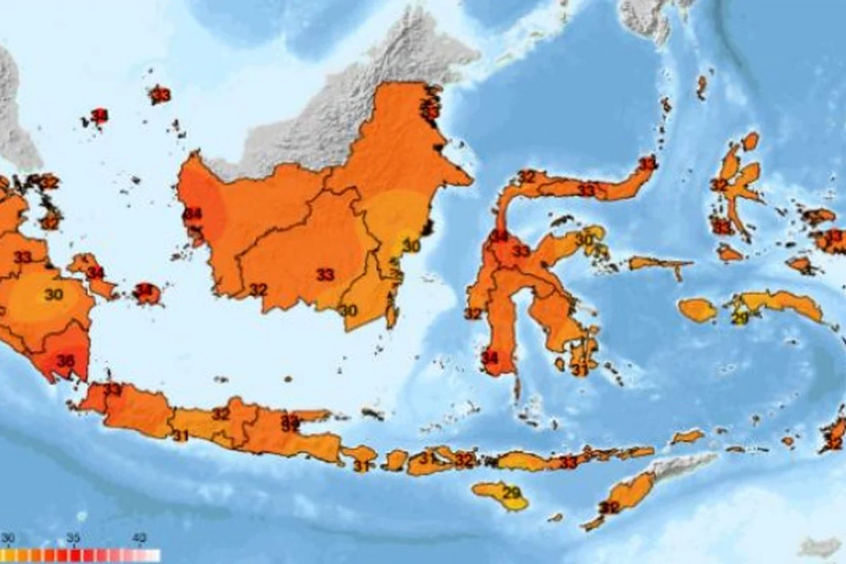 Gelombang Panas Melanda Dunia: Suhu di AS Capai 43 Derajat, Indonesia Juga Terkena Dampak