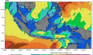 Gelombang Tinggi Mengancam Perairan Indonesia, BMKG Imbau Masyarakat untuk Waspadai