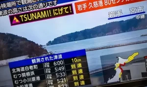 Gempa Bumi Melanda Jepang: Peringatan Tsunami Dicabut, Puluhan Orang Terluka