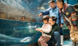 Hong Kong: Kota yang Tak Pernah Tidur, dari Dunia Hiburan hingga Olahraga
