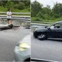 Insiden Mengejutkan di Inggris: Dari Serangan Buaya hingga Kecelakaan Mobil