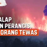 Kebakaran Hutan di Perancis dan Kasus Arson: Apa yang Terjadi?