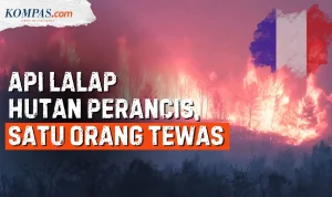 Kebakaran Hutan di Perancis dan Kasus Arson: Apa yang Terjadi?