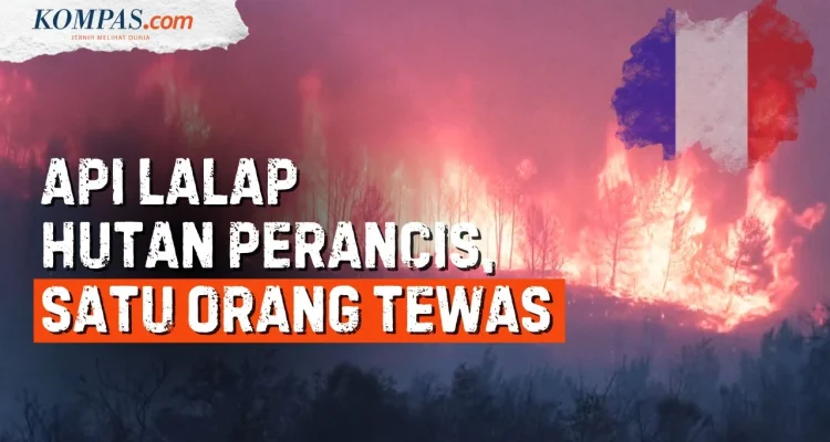 Kebakaran Hutan di Perancis dan Kasus Arson: Apa yang Terjadi?