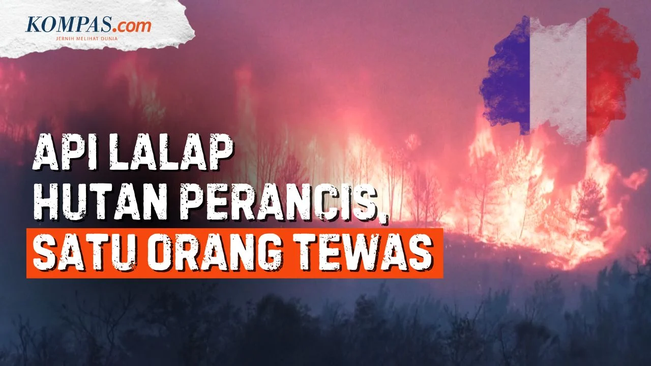 Kebakaran Hutan di Perancis dan Kasus Arson: Apa yang Terjadi?