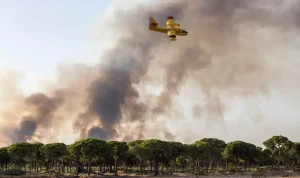 Kebakaran Hutan di Spanyol Tewaskan 12 Orang, Amerika Serikat Setujui Penjualan Mesin F110 untuk Jet Tempur Kaan Turki