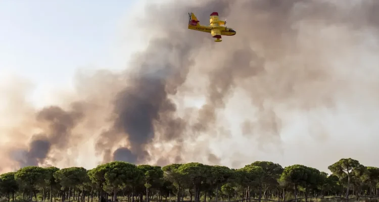Kebakaran Hutan di Spanyol Tewaskan 12 Orang, Amerika Serikat Setujui Penjualan Mesin F110 untuk Jet Tempur Kaan Turki