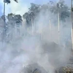 Kebakaran Melanda Berbagai Wilayah di Indonesia, Warga Diminta Waspada