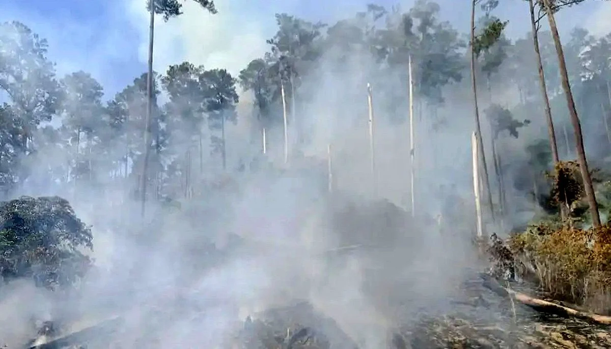Kebakaran Melanda Berbagai Wilayah di Indonesia, Warga Diminta Waspada